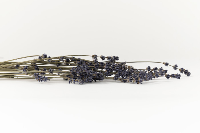 Lavende